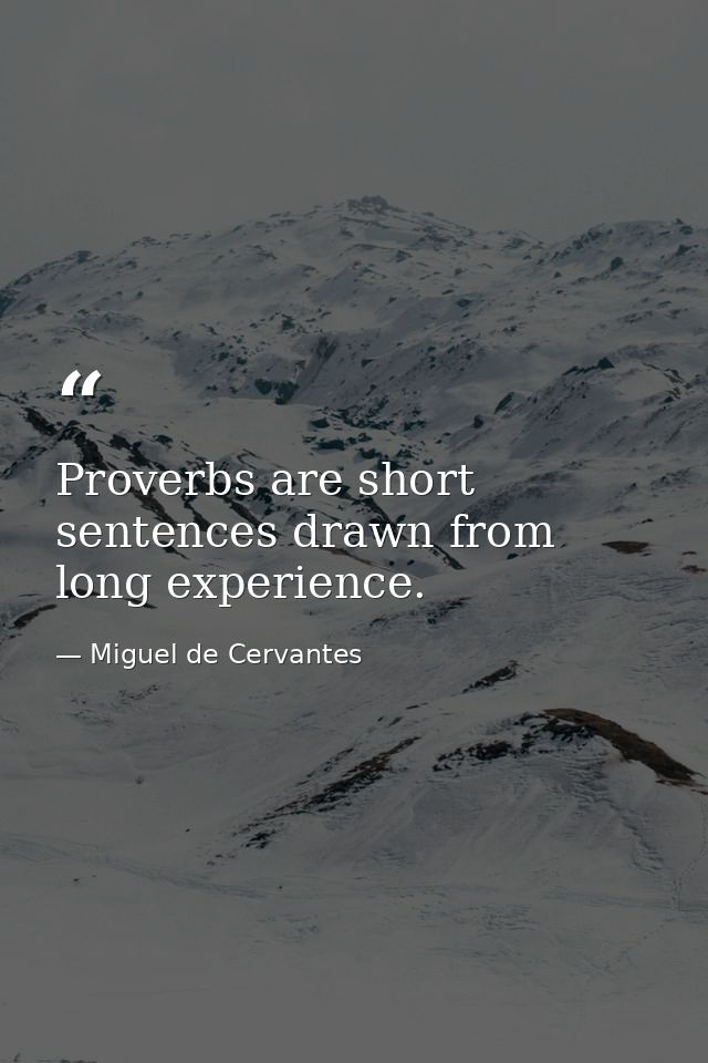 Proverbs are short sentences drawn from long experience. — Miguel de Cervantes