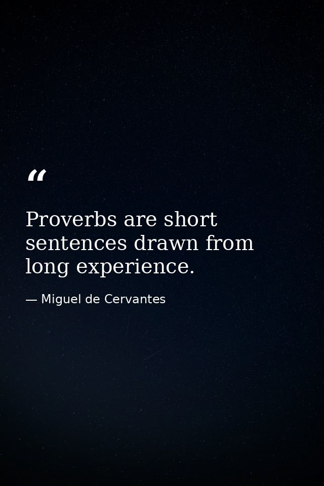 Proverbs are short sentences drawn from long experience. — Miguel de Cervantes