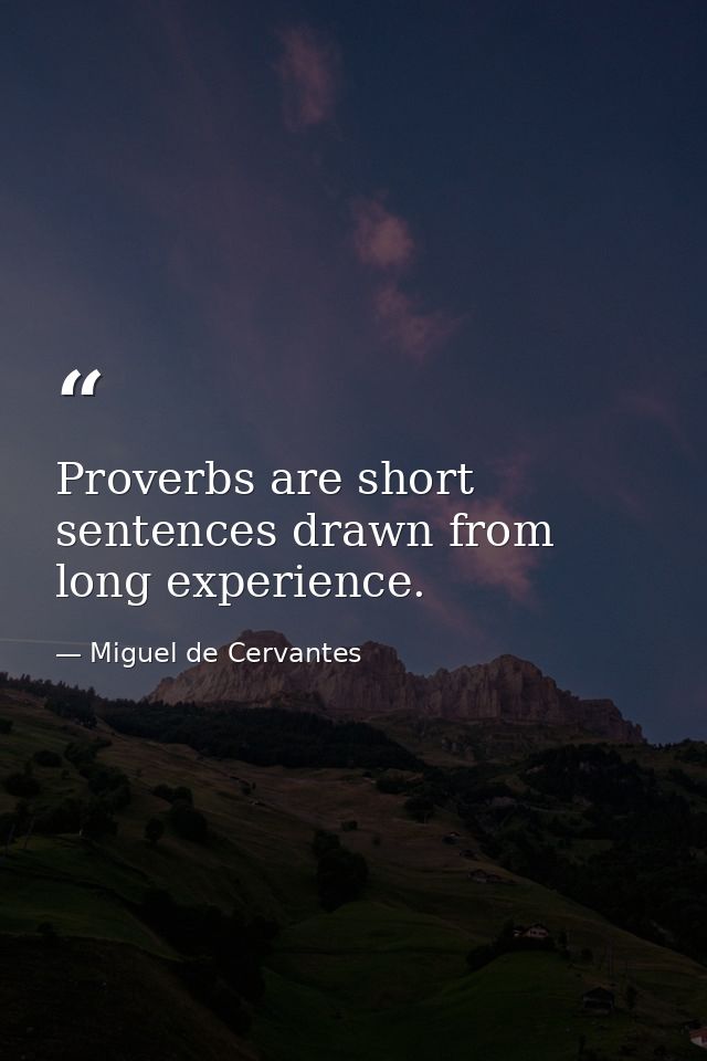 Proverbs are short sentences drawn from long experience. — Miguel de Cervantes