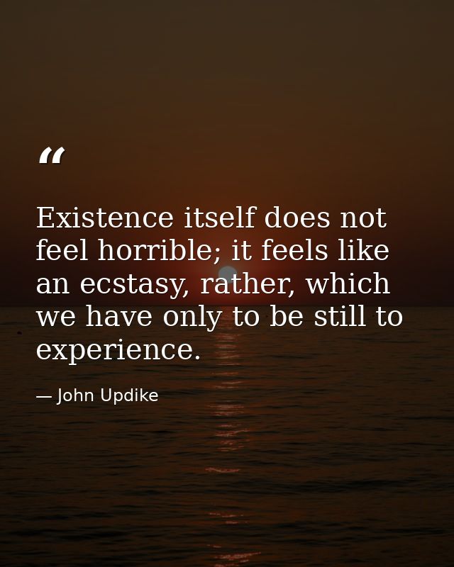 Existence itself does not feel horrible; it feels like an ecstasy, rather, which we have only to be still to experience. — John Updike