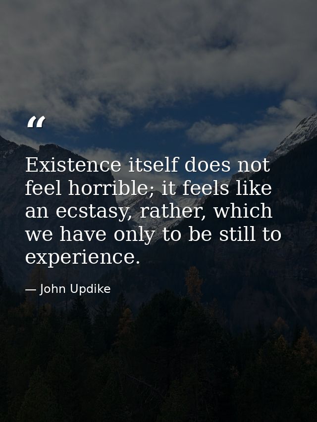 Existence itself does not feel horrible; it feels like an ecstasy, rather, which we have only to be still to experience. — John Updike