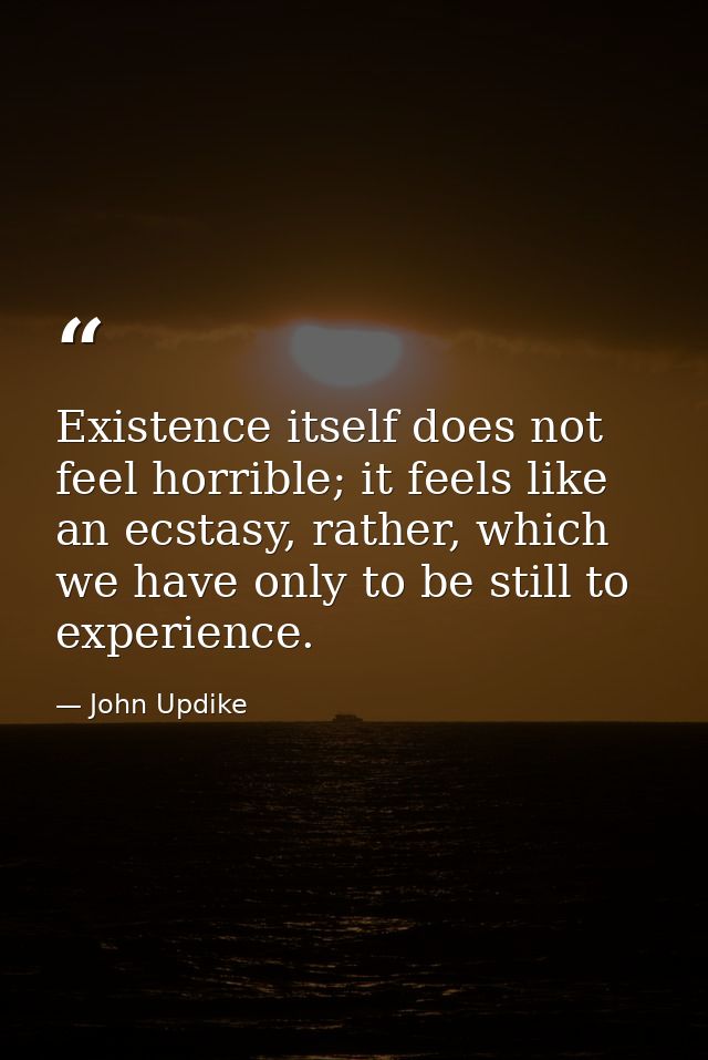 Existence itself does not feel horrible; it feels like an ecstasy, rather, which we have only to be still to experience. — John Updike