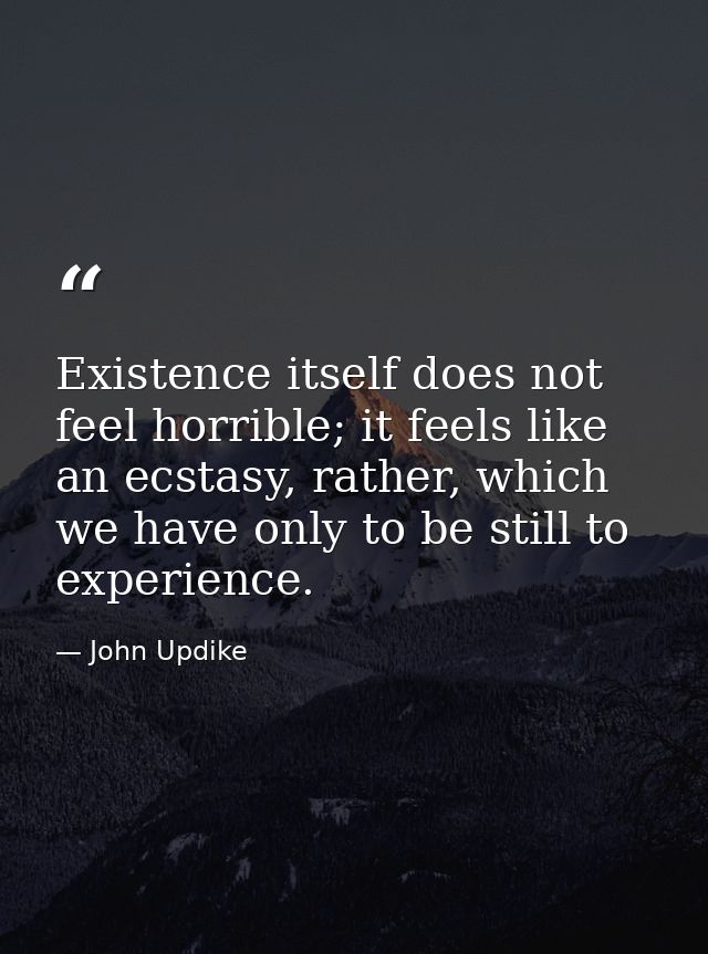 Existence itself does not feel horrible; it feels like an ecstasy, rather, which we have only to be still to experience. — John Updike