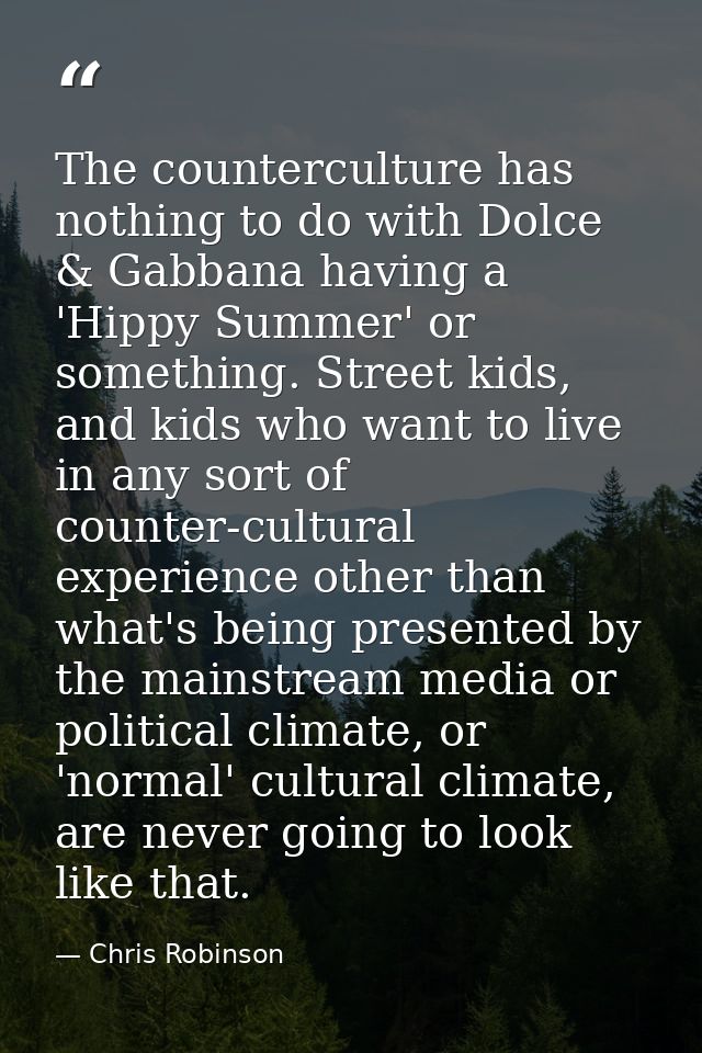The counterculture has nothing to do with Dolce & Gabbana having a 'Hippy Summer' or something. Street kids, and kids wh — Chris Robinson