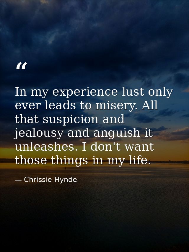 In my experience lust only ever leads to misery. All that suspicion and jealousy and anguish it unleashes. I don't want  — Chrissie Hynde