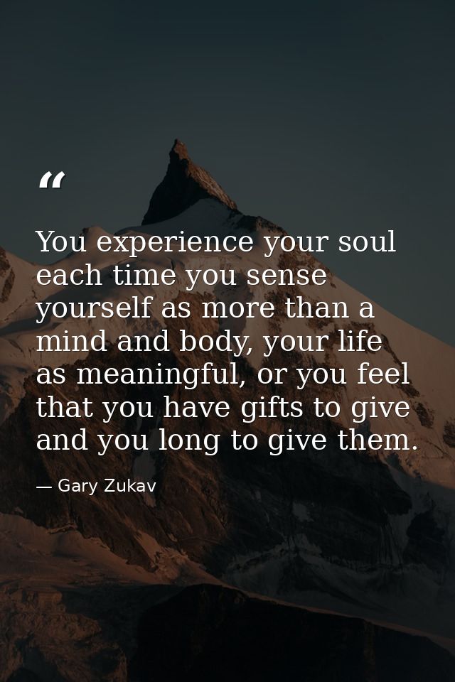 You experience your soul each time you sense yourself as more than a mind and body, your life as meaningful, or you feel — Gary Zukav