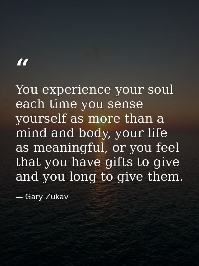 You experience your soul each time you sense yourself as more than a mind and body, your life as meaningful, or you feel — Gary Zukav