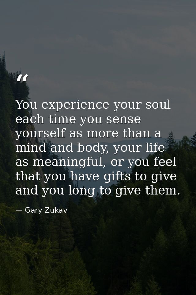 You experience your soul each time you sense yourself as more than a mind and body, your life as meaningful, or you feel — Gary Zukav