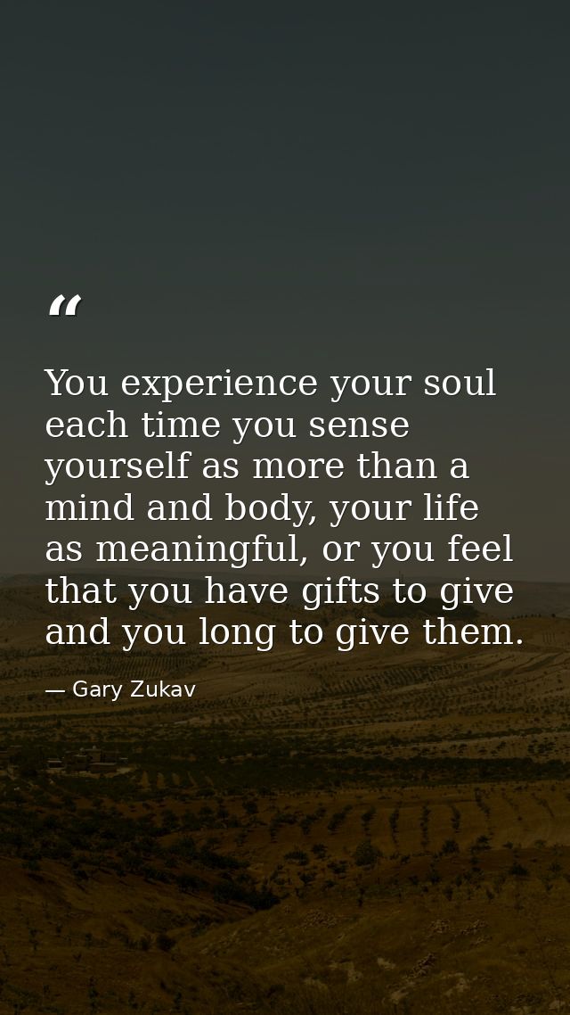 You experience your soul each time you sense yourself as more than a mind and body, your life as meaningful, or you feel — Gary Zukav