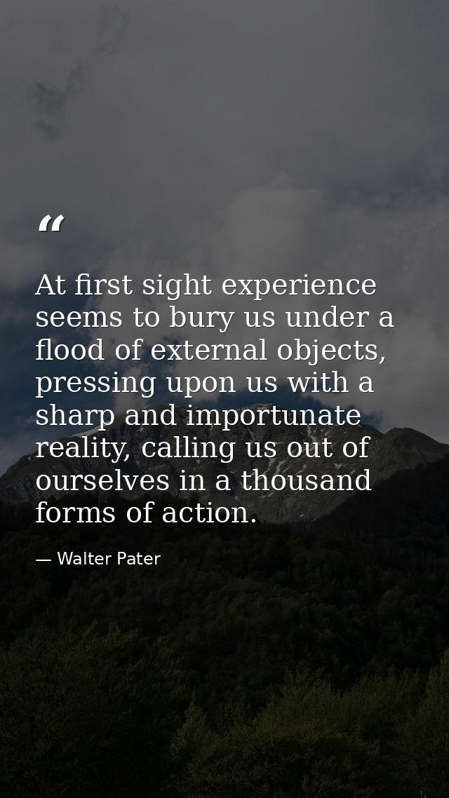 At first sight experience seems to bury us under a flood of external objects, pressing upon us with a sharp and importun — Walter Pater