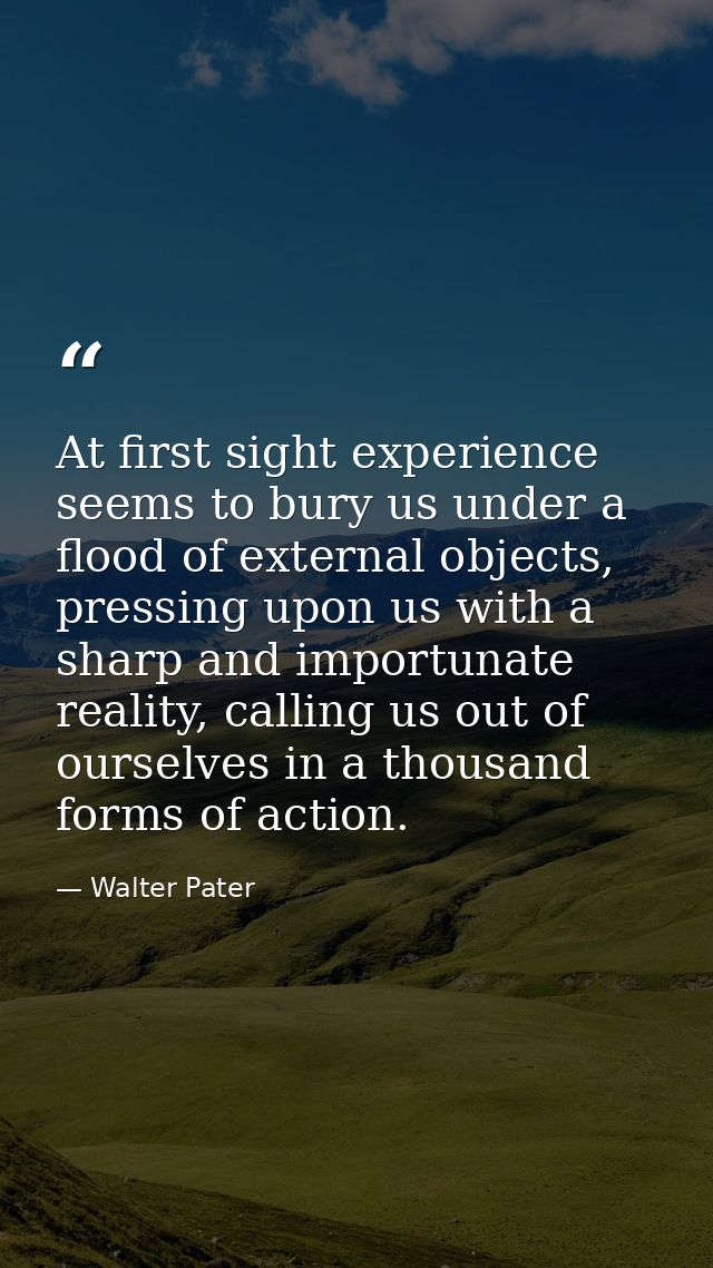At first sight experience seems to bury us under a flood of external objects, pressing upon us with a sharp and importun — Walter Pater