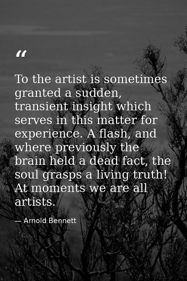 To the artist is sometimes granted a sudden, transient insight which serves in this matter for experience. A flash, and  — Arnold Bennett