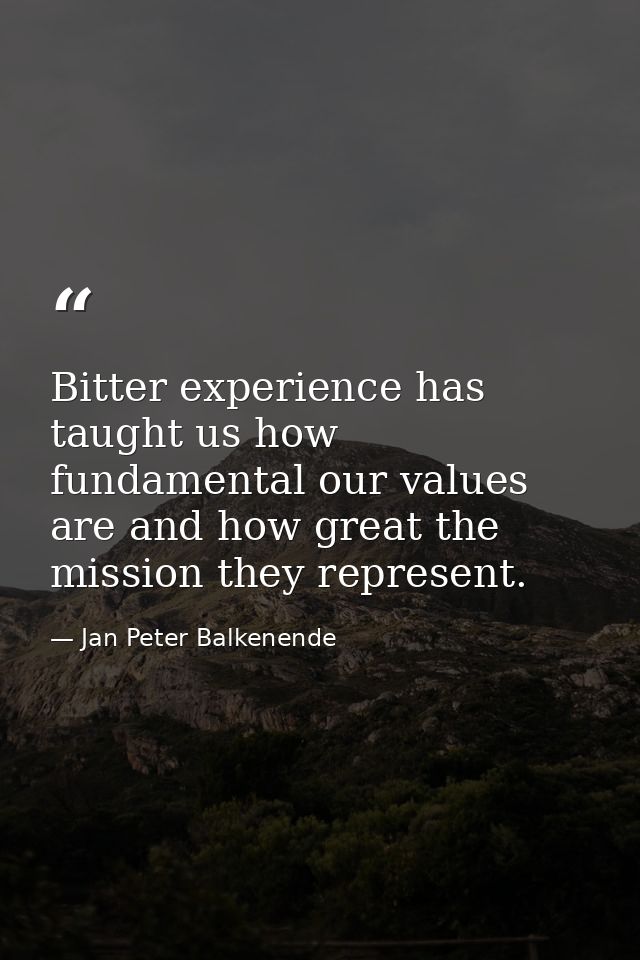Bitter experience has taught us how fundamental our values are and how great the mission they represent. — Jan Peter Balkenende