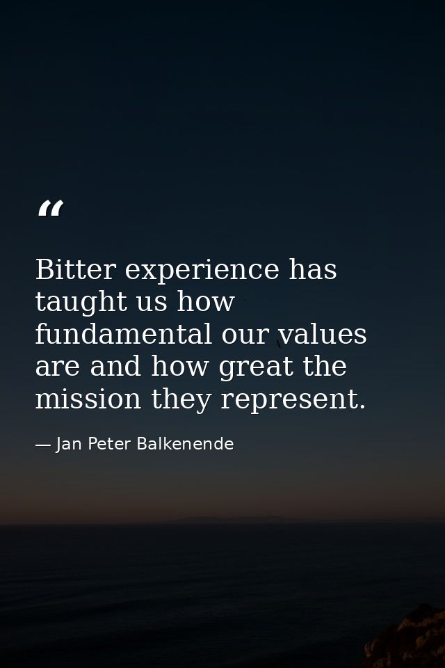 Bitter experience has taught us how fundamental our values are and how great the mission they represent. — Jan Peter Balkenende