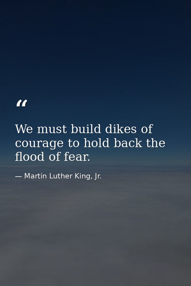 We must build dikes of courage to hold back the flood of fear. — Martin Luther King, Jr.