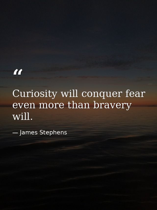 Curiosity will conquer fear even more than bravery will. — James Stephens