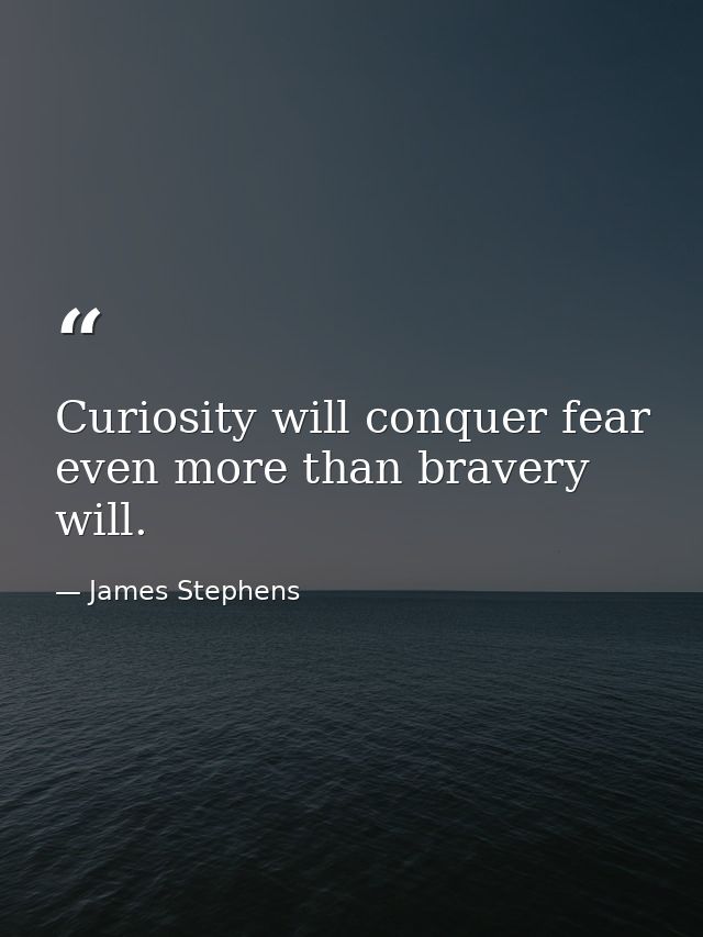 Curiosity will conquer fear even more than bravery will. — James Stephens