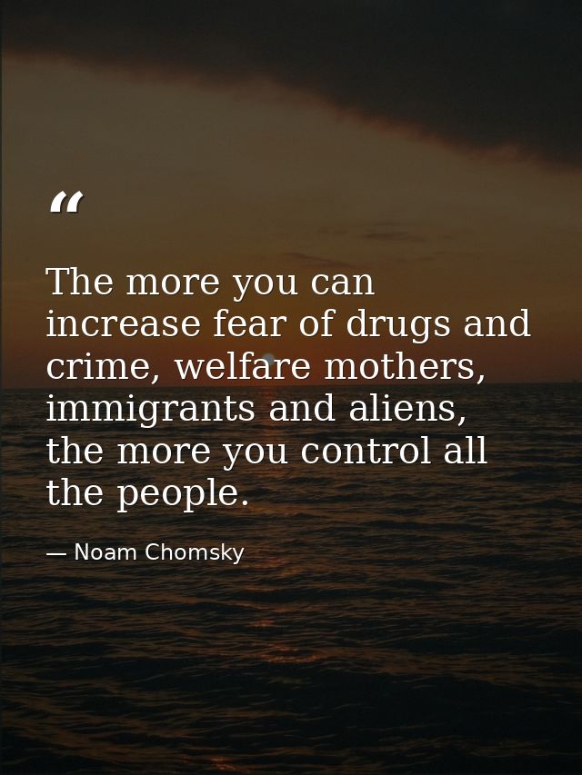 The more you can increase fear of drugs and crime, welfare mothers, immigrants and aliens, the more you control all the  — Noam Chomsky