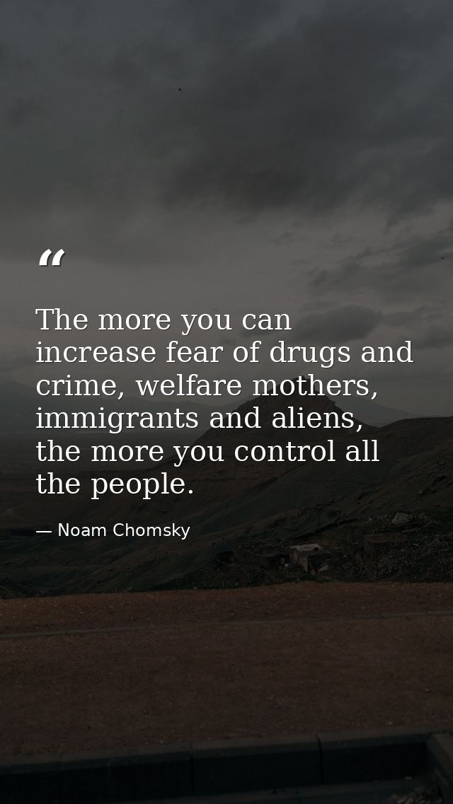 The more you can increase fear of drugs and crime, welfare mothers, immigrants and aliens, the more you control all the  — Noam Chomsky