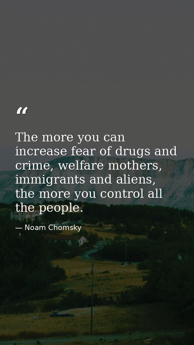 The more you can increase fear of drugs and crime, welfare mothers, immigrants and aliens, the more you control all the  — Noam Chomsky