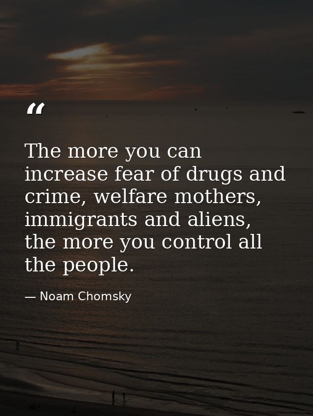 The more you can increase fear of drugs and crime, welfare mothers, immigrants and aliens, the more you control all the  — Noam Chomsky