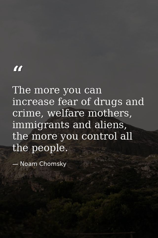 The more you can increase fear of drugs and crime, welfare mothers, immigrants and aliens, the more you control all the  — Noam Chomsky