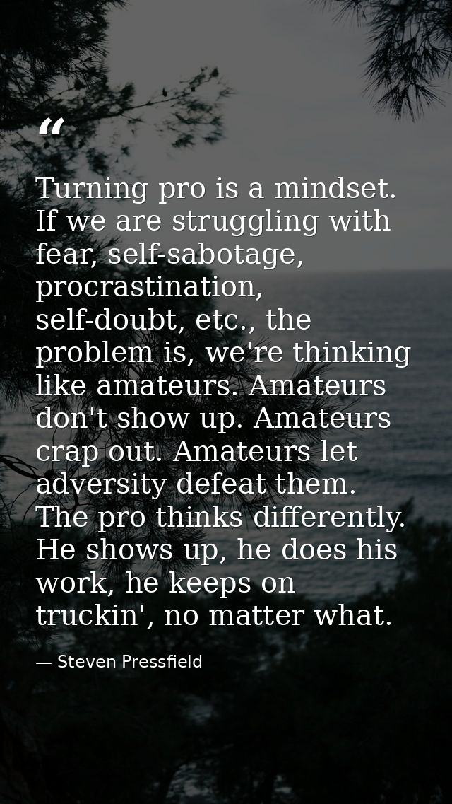 Turning pro is a mindset. If we are struggling with fear, self-sabotage, procrastination, self-doubt, etc., the problem  — Steven Pressfield