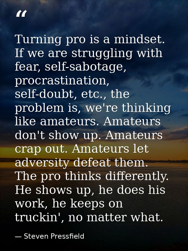 Turning pro is a mindset. If we are struggling with fear, self-sabotage, procrastination, self-doubt, etc., the problem  — Steven Pressfield