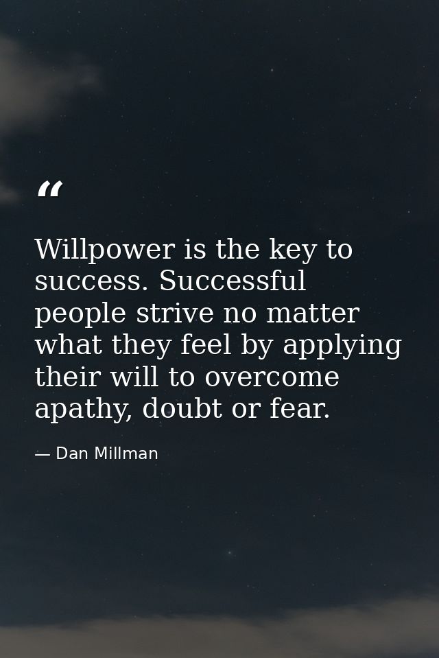 Willpower is the key to success. Successful people strive no matter what they feel by applying their will to overcome ap — Dan Millman