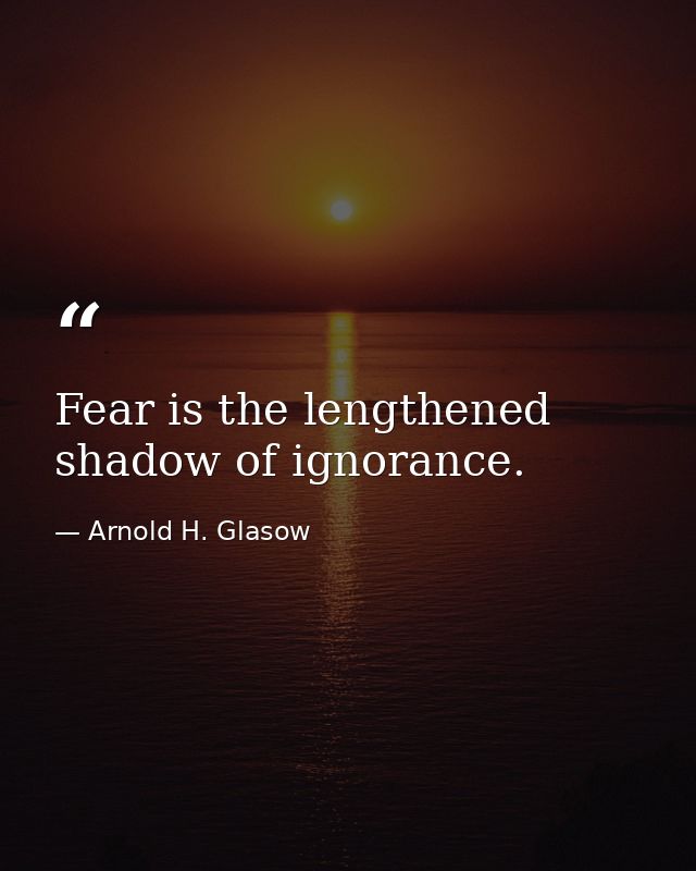 Fear is the lengthened shadow of ignorance. — Arnold H. Glasow