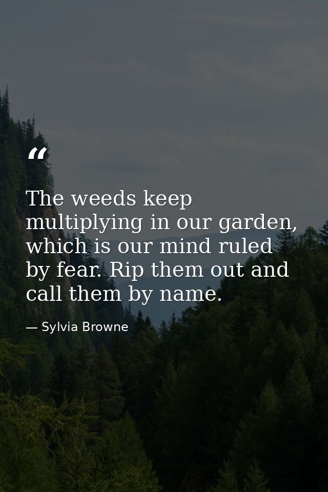 The weeds keep multiplying in our garden, which is our mind ruled by fear. Rip them out and call them by name. — Sylvia Browne