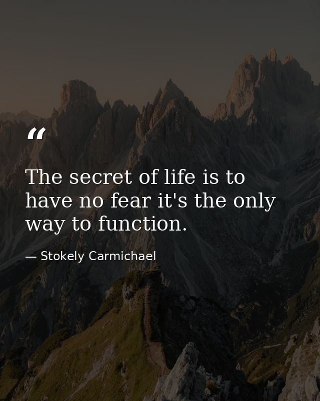 The secret of life is to have no fear it's the only way to function. — Stokely Carmichael