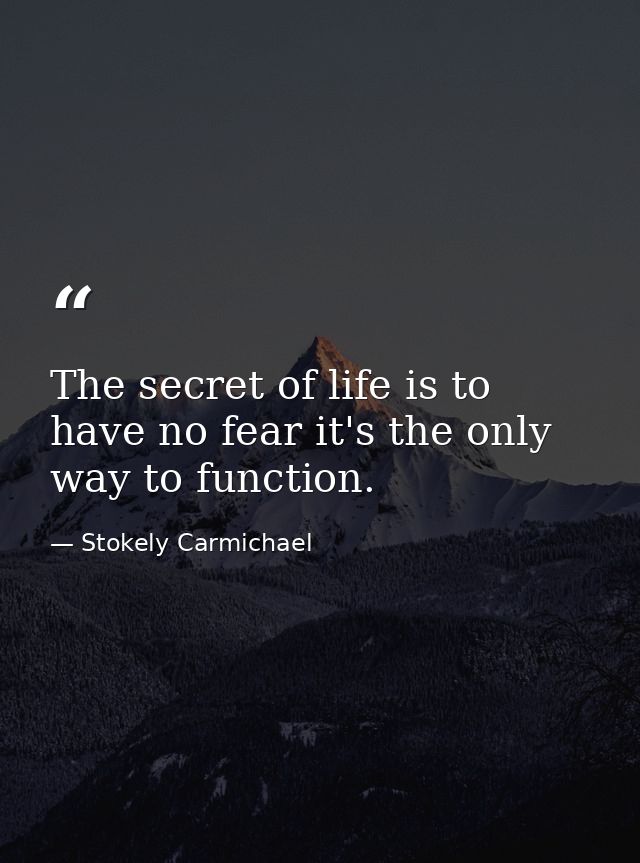 The secret of life is to have no fear it's the only way to function. — Stokely Carmichael