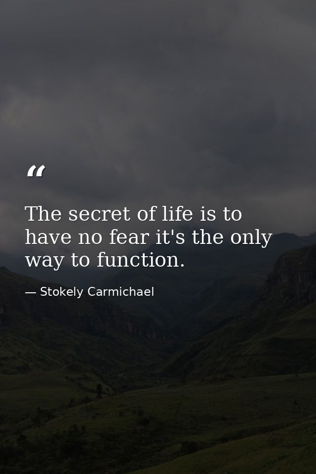 The secret of life is to have no fear it's the only way to function. — Stokely Carmichael