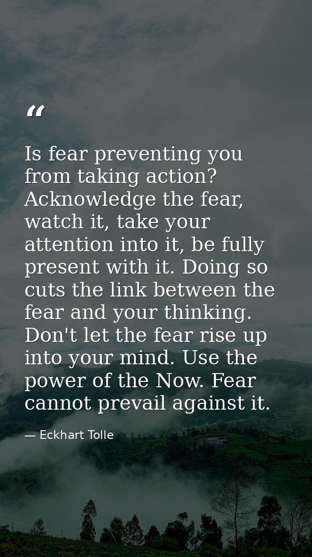 Is fear preventing you from taking action? Acknowledge the fear, watch it, take your attention into it, be fully present — Eckhart Tolle