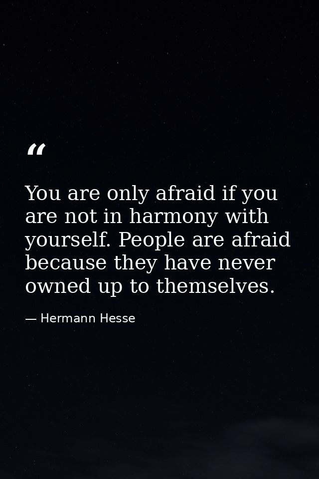 You are only afraid if you are not in harmony with yourself. People are afraid because they have never owned up to thems — Hermann Hesse