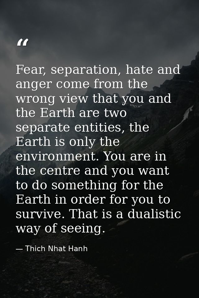 Fear, separation, hate and anger come from the wrong view that you and the Earth are two separate entities, the Earth is — Thich Nhat Hanh