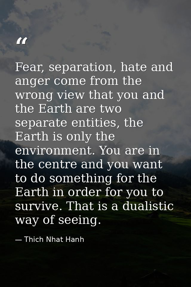 Fear, separation, hate and anger come from the wrong view that you and the Earth are two separate entities, the Earth is — Thich Nhat Hanh