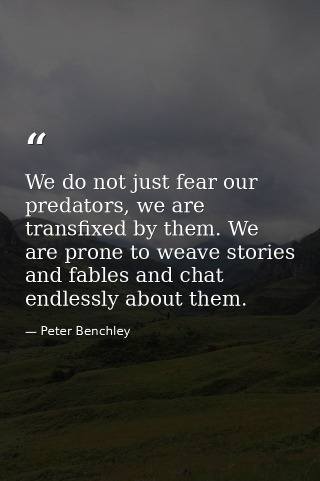 We do not just fear our predators, we are transfixed by them. We are prone to weave stories and fables and chat endlessl — Peter Benchley