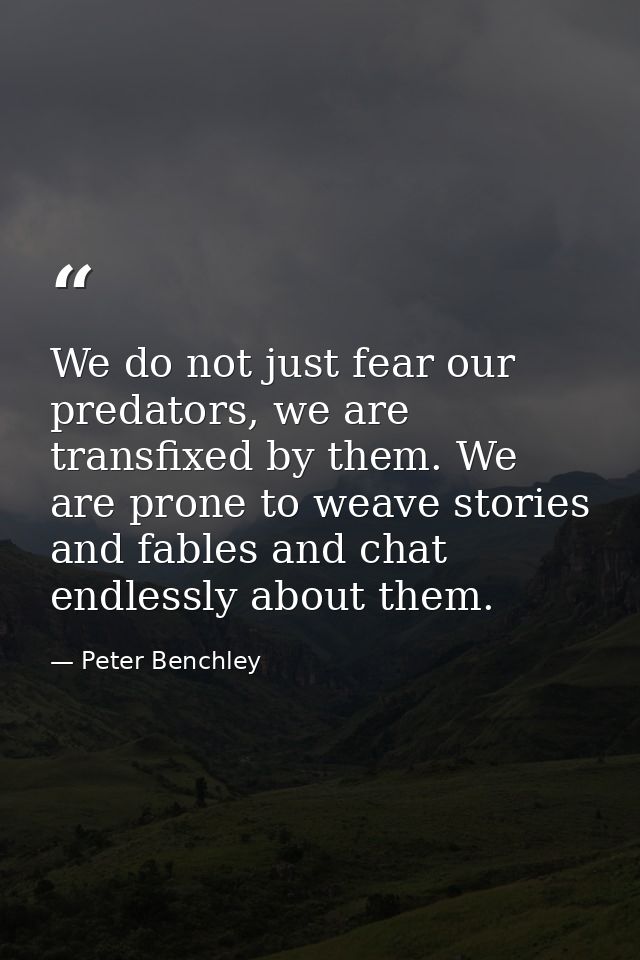 We do not just fear our predators, we are transfixed by them. We are prone to weave stories and fables and chat endlessl — Peter Benchley