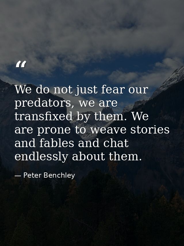 We do not just fear our predators, we are transfixed by them. We are prone to weave stories and fables and chat endlessl — Peter Benchley