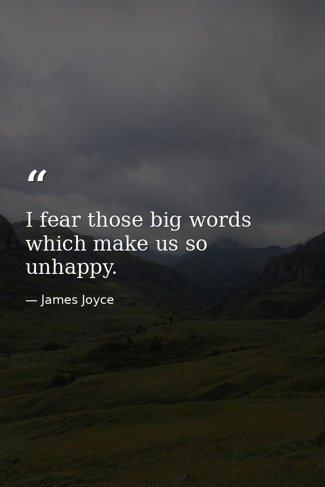 I fear those big words which make us so unhappy. — James Joyce