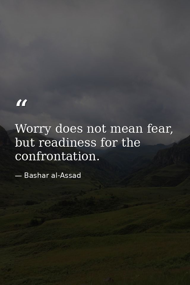 Worry does not mean fear, but readiness for the confrontation. — Bashar al-Assad