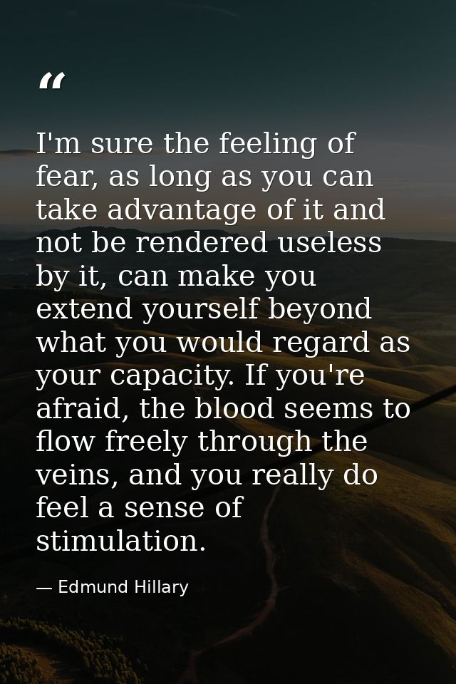 I'm sure the feeling of fear, as long as you can take advantage of it and not be rendered useless by it, can make you ex — Edmund Hillary