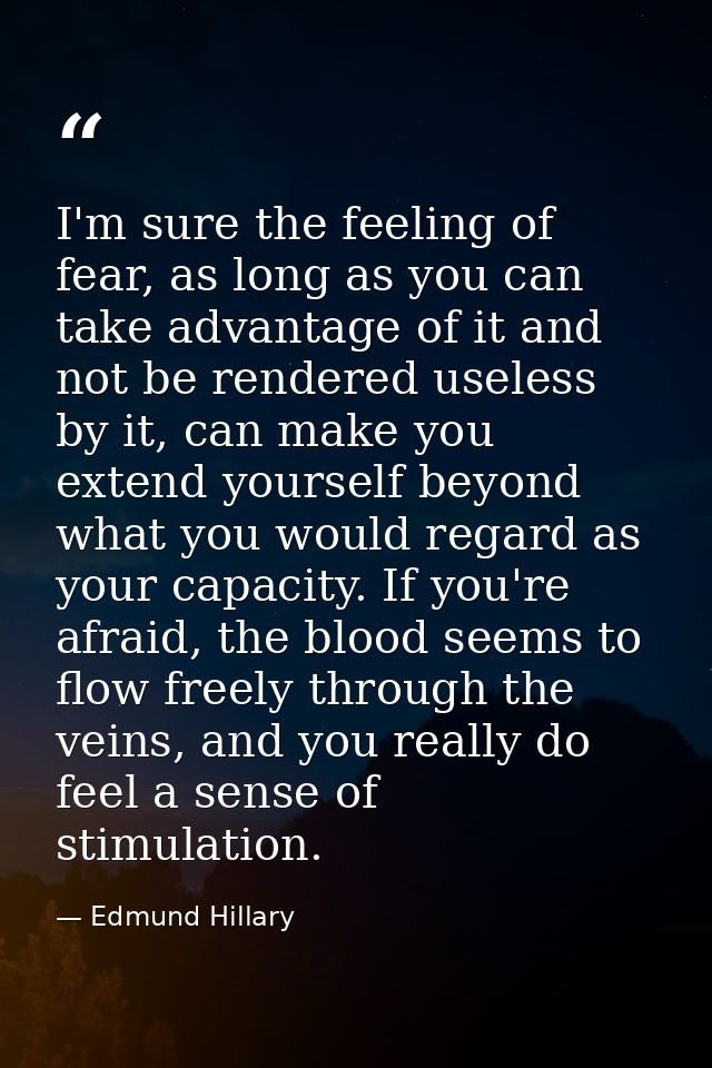 I'm sure the feeling of fear, as long as you can take advantage of it and not be rendered useless by it, can make you ex — Edmund Hillary