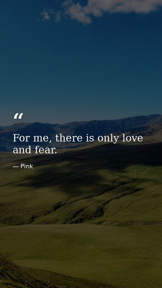 For me, there is only love and fear. — Pink