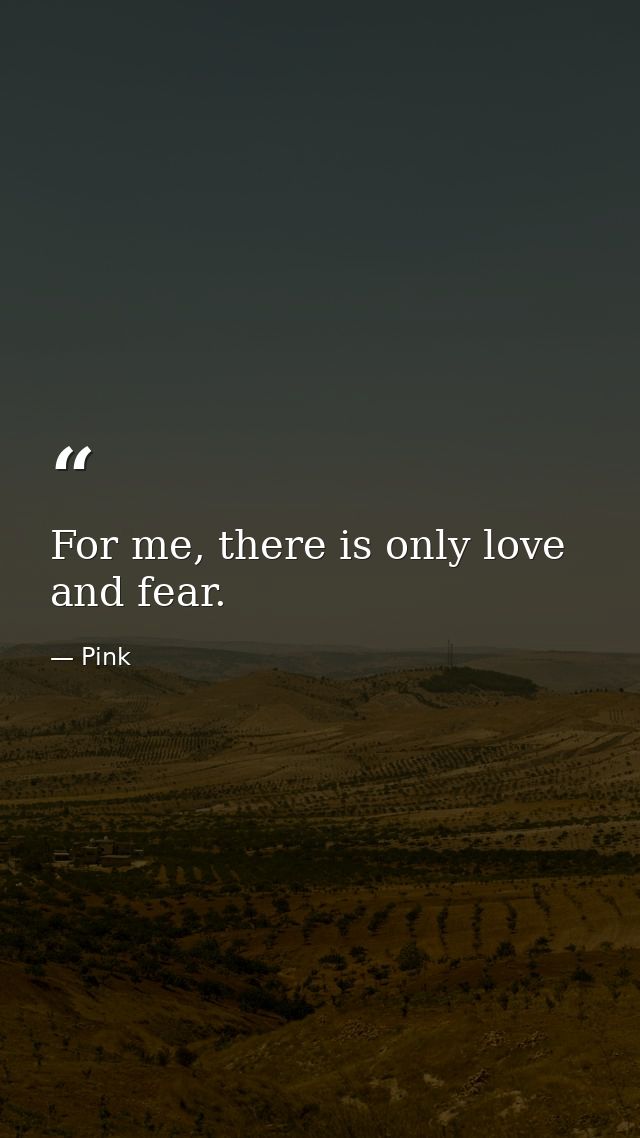 For me, there is only love and fear. — Pink