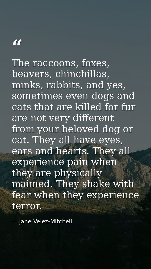 The raccoons, foxes, beavers, chinchillas, minks, rabbits, and yes, sometimes even dogs and cats that are killed for fur — Jane Velez-Mitchell