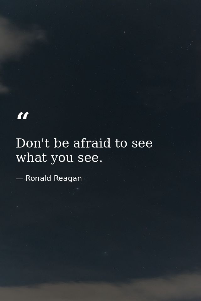 Don't be afraid to see what you see. — Ronald Reagan