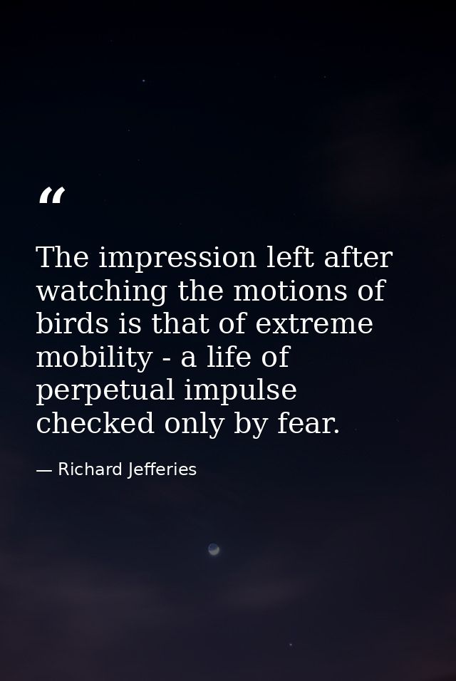 The impression left after watching the motions of birds is that of extreme mobility - a life of perpetual impulse checke — Richard Jefferies